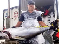 Gia Lai plans Tam Quan smart fishing port to lift exports