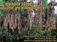 Exhibition in Brussels brings Vietnamese spirit to life through Belgian art
