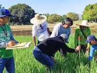 Vietnam, Philippines further boost cooperation in food security