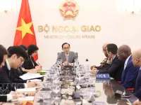 Foreign minister welcomes ambassadors of African nations