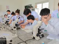 Digital capacity improvement needed for comprehensive human development