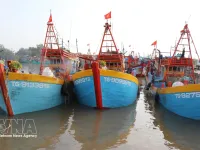 Dong Thap tightens control of fishing fleet to combat IUU fishing