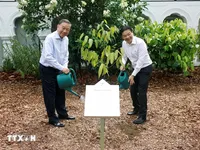 Vietnam's top leader, Singapore PM plant tree at Singapore Botanic Gardens