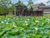 Lotus Festival lights up Hue’s summer