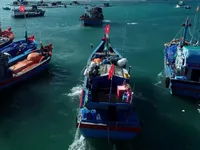 Fishermen’s associations help drive efforts to lift EC’s IUU ‘yellow card’