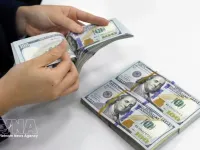 Reference exchange rate rises 5 VND on June 30
