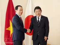 Deputy PM promotes closer Vietnam–Japan cooperation during Tokyo visit