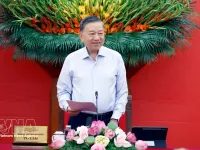 Foreign affairs should better serve national development: Top leader