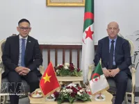 Vietnam treasures ties with Algeria: Ambassador