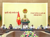 Seven policy groups proposed for amendments to Land Law