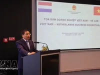 Dutch businesses upbeat about Vietnam's growth prospects