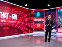 “Real - Fake, Verify”: Fighting Misinformation with Daily Fact-Checking