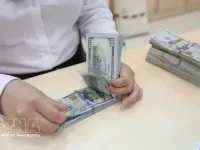 Reference exchange rate up 25 VND at week’s beginning