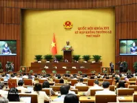 Lawmakers discuss establishing stable institutional framework for urban development
