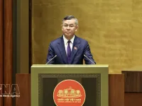 Lawmakers discuss customs reform linked to digital transformation, risk management