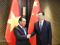 Vietnam, China strengthen agricultural cooperation