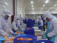 Vietnam's economy expected to grow 11% in 2027