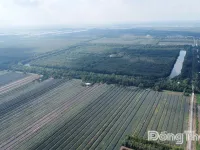Dong Thap expands wetland reserve