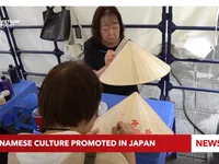 Vietnamese culture showcased at Vietnam Festa in Kanagawa