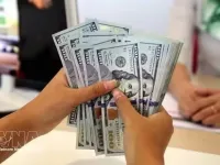 Reference exchange rate rises 6 VND on September 25