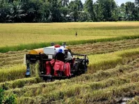 Deputy PM calls for a shift from output-driven to quality-based growth