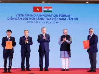 Vietnam, India deepen Comprehensive Strategic Partnership after a decade of growth