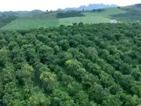 Vietnam tackles agriculture soil degradation