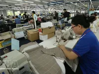 Vietnam sustaining exceptional growth, economist says