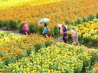 Meaningful travel in Vietnam: Destinations where tourism benefits local communities