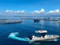 Vietnam unlocks new development space from the sea