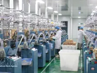Fewer than 200 foreign-invested enterprises in Vietnam subject to global minimum tax