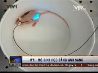 Mô sinh học liên kết các tế bào bằng ánh sáng