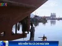 Bảo hiểm tàu cá cho ngư dân - khoảng trống cần lấp đầy