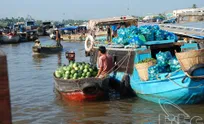 Exhibition showcasing beauty of Mekong Delta held in Hanoi