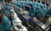 Chinese firms partner Vietnamese businesses