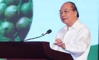 Measures to boost development of Macadamia trees