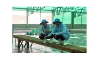 Shrimp exports features positive signals