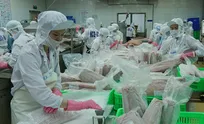 Vietnam strives to expand markets for seafood exports