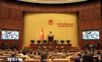 Lawmakers discuss personnel work, draft laws on population, disease prevention