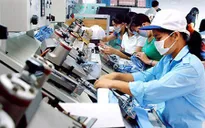 2.000 tỷ đồng hỗ trợ doanh nghiệp nhỏ và vừa