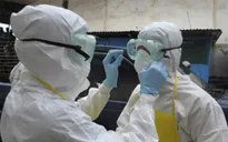 WHO chỉ trích cộng đồng quốc tế chậm trễ đối phó với dịch Ebola