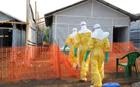 Chiến lược đối phó với Ebola đang đi đúng hướng