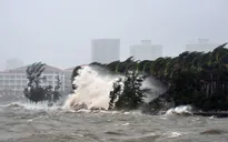 Bão Kalmaegi đổ bộ vào miền Nam Trung Quốc, 25 người bị thương