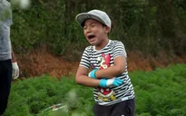 Bố ơi! Mình đi đâu thế?: Hoàng Bách nghiêm khắc dạy con