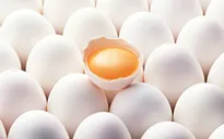 10 lầm tưởng về trứng gà dễ mắc phải