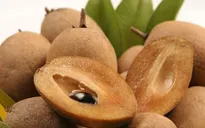 Những tác dụng không ngờ của trái hồng xiêm