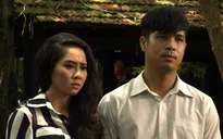Tường Vi: “Tôi không giống Lưu Ly trong Đam mê nghiệt ngã”