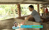 Bố ơi! Mình đi đâu thế: MC Phan Anh “hết hồn” vì bị lợn cắn
