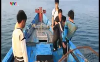 Gala Tinh hoa võ thuật: Khí phách người lính biển (19h30, VTV4)