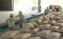 Xi măng dự kiến tăng giá nhẹ trong tháng 10